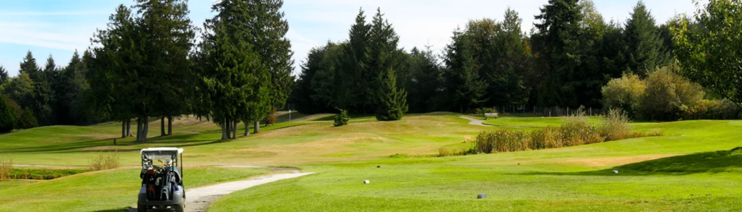 A golf course fairway surrounded by tall evergreen trees