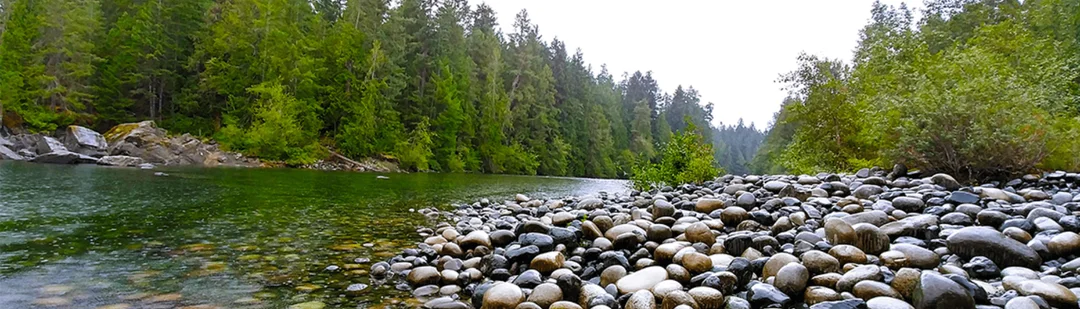 A landscape from the Chase River neighbourhood guide