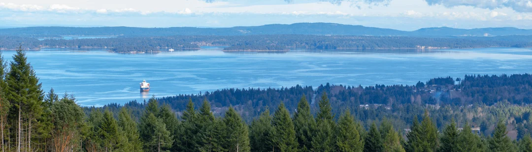 A view from the Ladysmith neighbourhood guide