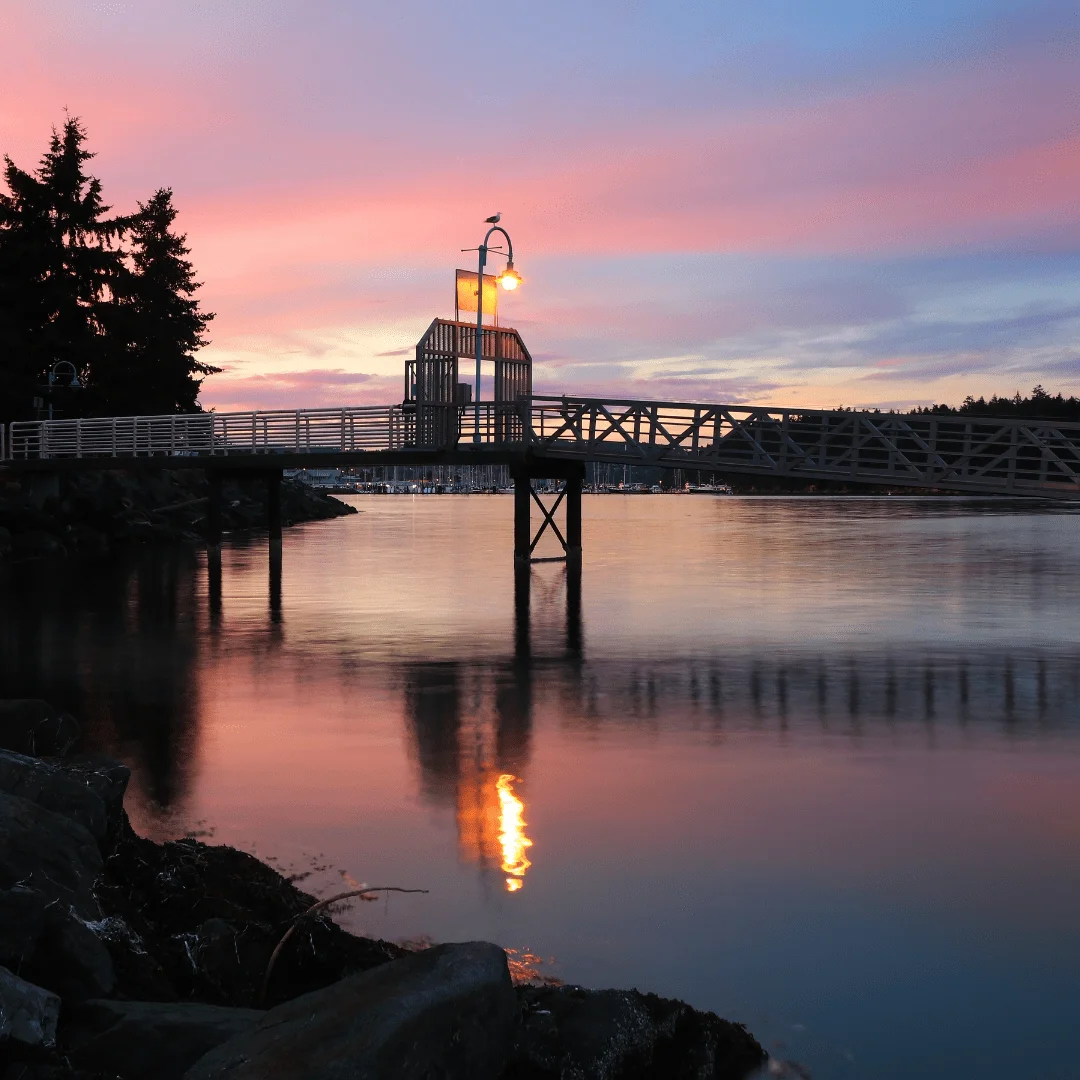 A coastal view from the Lower Lantzville neighbourhood guide