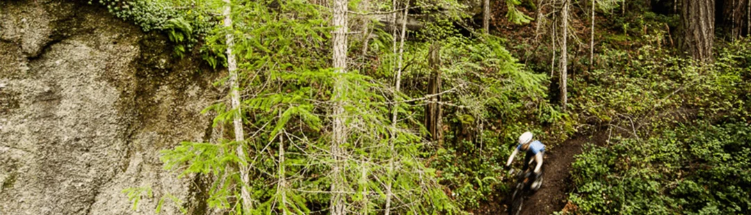 A landscape from the Pleasant Valley neighbourhood guide
