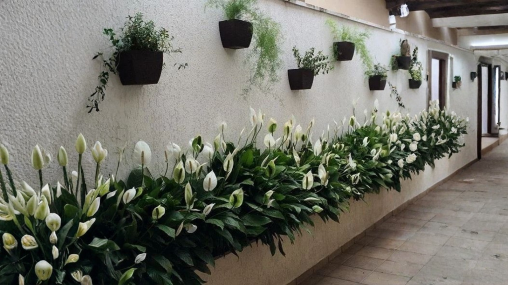 Vancouver Island coastal view